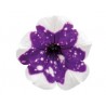 Petunia Alpetunia Glacier Sky (vaso 14 cm)