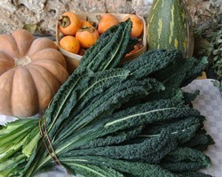 Pianta di Cavolo Nero Toscano (Vaschetta da 6 piante)