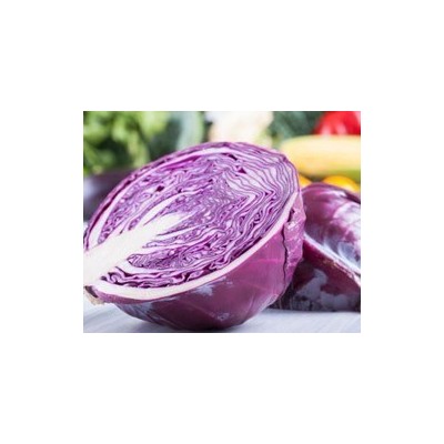 Pianta di Cavolo Cappuccio Primero (Vaschetta da 6 piante)