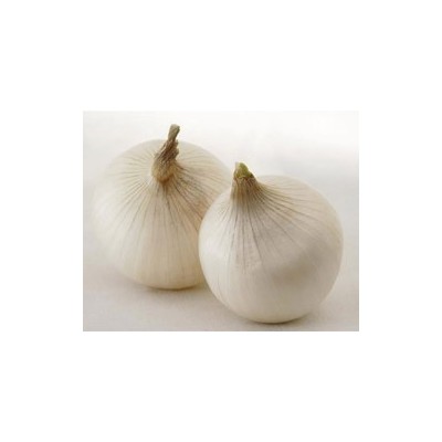 Pianta di Cipolla Bianca Gladstone (Vaschetta da 9 piante)