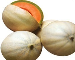 Pianta di Melone Liscio F1 Bacir