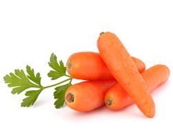 Pianta di Carota F1 Bolero