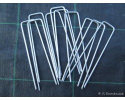 Chelato di Ferro Ferroter