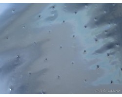 Telo per pacciamatura microforato