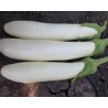 Pianta di Melanzana F1 Perla (Vaso 10 cm)