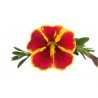 Calibrachoa Superbells Red Starbust (Vaso 14 cm)